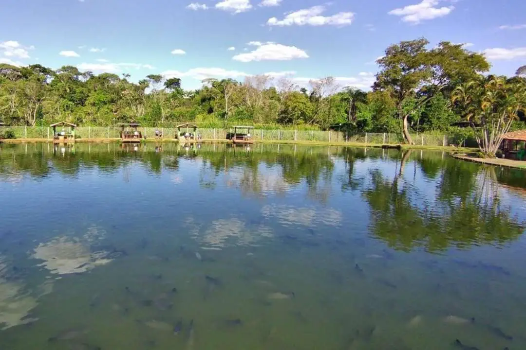 Pesqueiro Lago Verde em Goiás